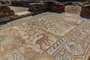 Kuzey Makedonya 'nın Bitola kenti yakınlarındaki Heraclea Lyncestis antik harabelerinde yer mozaikleri