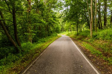 Çek Cumhuriyeti 'nin Ceske Stredohori kentindeki kırsal yol