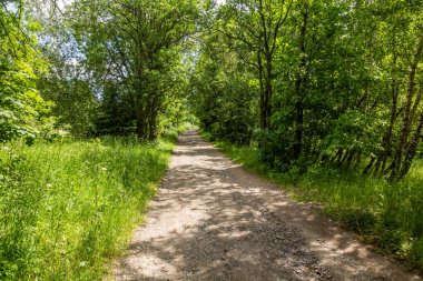 Çek Cumhuriyeti 'nin Sanov köyü yakınlarındaki yol