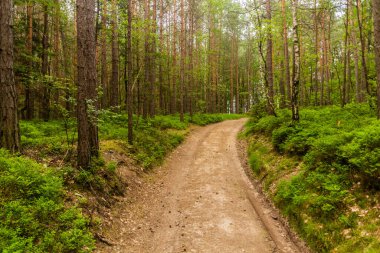 Korunan Peyzaj Bölgesi Kokorinsko - Machuv Kraj, Çek Cumhuriyeti