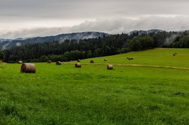Çek Cumhuriyeti 'nin en güney noktasındaki çayırlar