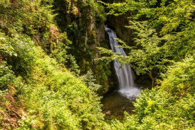 Wodospad Wilczki Şelalesi Miedzygorze, Polonya