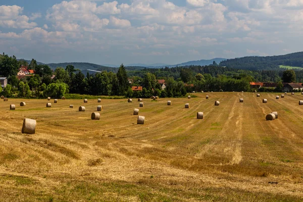 Landdistrikterne Landskab Nær Landsbyen Kremze Tjekkiet - Stock-foto