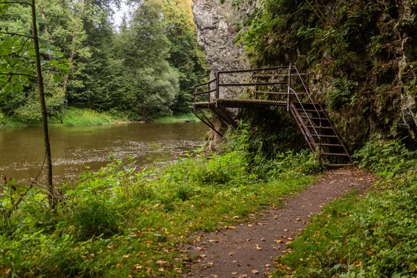 Sentier Randonnée Sur Une Promenade Long Rivière Luznice République Tchèque — Photo