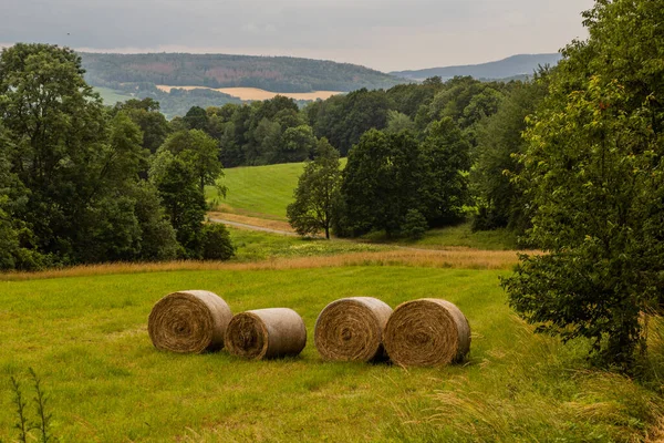 Ländliche Landschaft Bei Zandov Tschechische Republik — Stockfoto