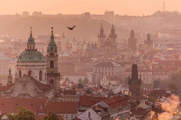 Frühen Morgen Luftaufnahme Von Prag Tschechische Republik — Stockfoto
