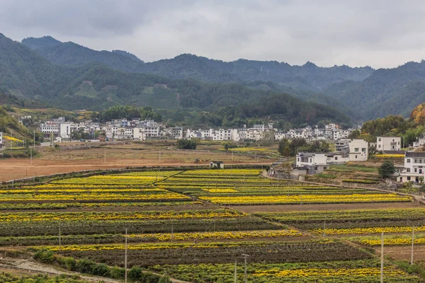 Ländliche Landschaft Der Provinz Anhui China — Stockfoto
