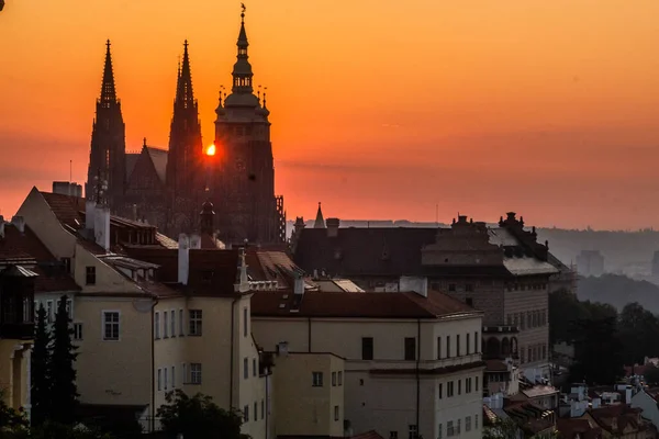 Časný Ranní Pohled Katedrálu Víta Praze — Stock fotografie