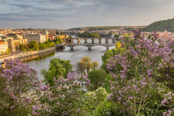 Çek Cumhuriyeti Prag Vltava Nehri Üzerindeki Köprülerin Bahar Havası Manzarası — Stok fotoğraf