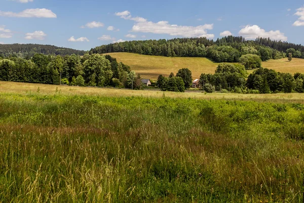 Ländliche Landschaft Bei Lobendava Tschechische Republik — Stockfoto