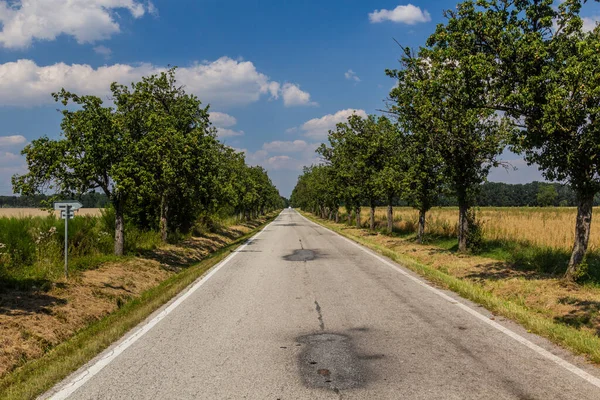 Güney Bohemya Kırsal Yol Çek Cumhuriyeti — Stok fotoğraf