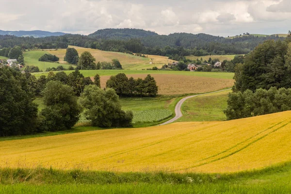 Сельский Пейзаж Рядом Летоградом Чехия — стоковое фото