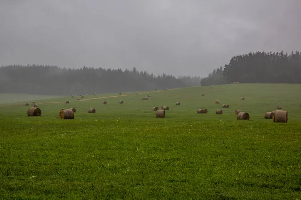 捷克共和国最南端附近的Meadows — 图库照片