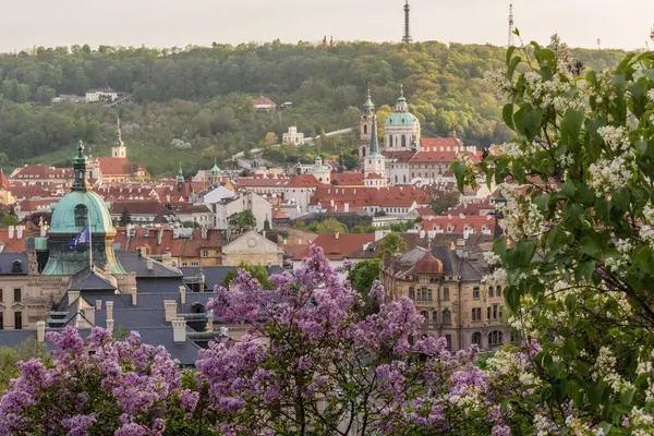 Vista Primavera Del Lado Menor Praga República Checa —  Fotos de Stock