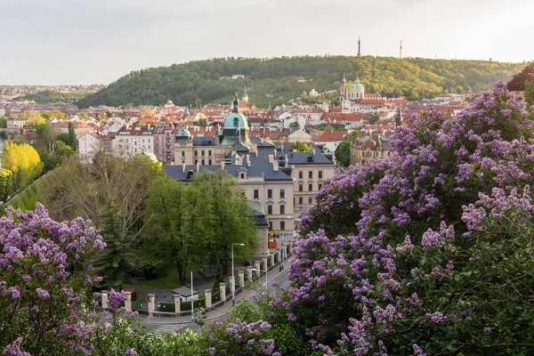 Vista Primavera Del Lado Menor Praga República Checa —  Fotos de Stock