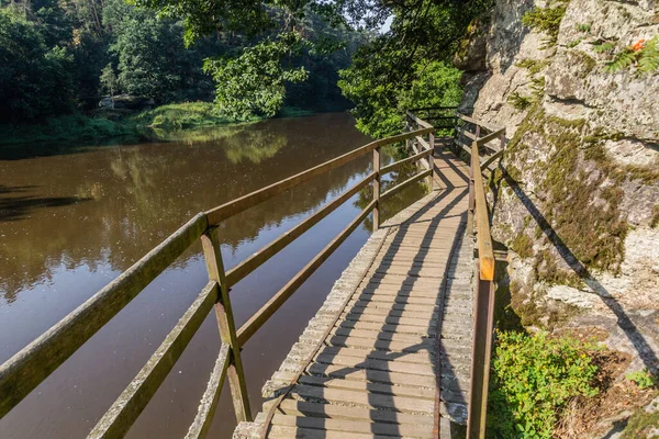 Podul Boardwalk Din Râul Luznice Republica Cehă — Fotografie, imagine de stoc