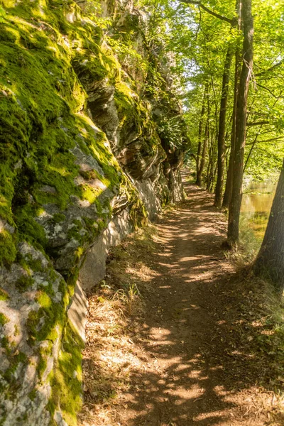 Trilha Caminhada Pelo Rio Luznice Perto Bechyne República Checa — Fotografia de Stock