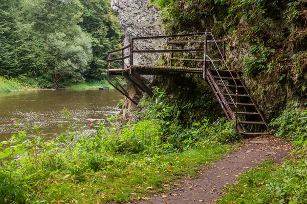 Sentier Randonnée Sur Une Promenade Long Rivière Luznice République Tchèque — Photo