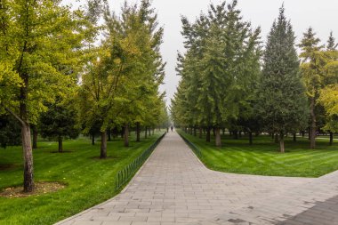 Pekin, Çin 'deki Cennet Parkındaki Ağaçlar