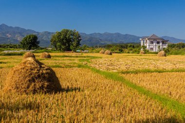 Muang Sing yakınlarındaki kırsal alan, Laos