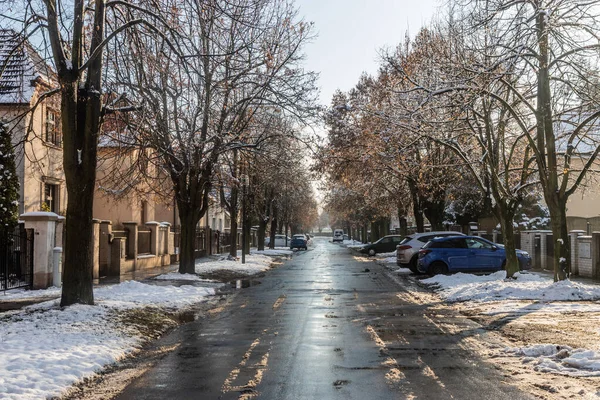 捷克共和国Lysa Nad Labem的Pivovarska街冬季景观 — 图库照片