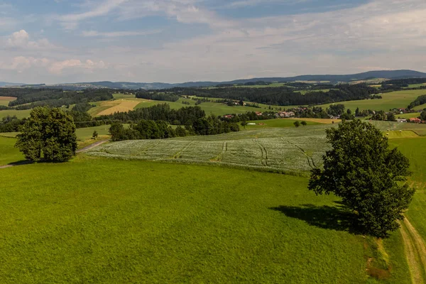 Blick Auf Ländliche Landschaft Der Nähe Von Horni Cermna Tschechien — Stockfoto