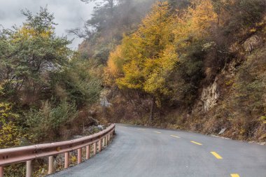 Çin 'in Sichuan eyaletindeki Pitiao nehir vadisinde G350 yolu.