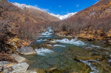 Siguniang Dağı yakınlarındaki Haizi Vadisi 'nde nehir Sichuan ili, Çin