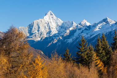 Siguniang Dağı, Sichuan Eyaleti, Çin