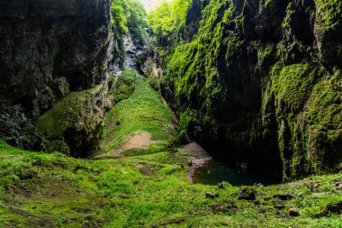 Çek Cumhuriyeti 'nde Macocha Abby' ler