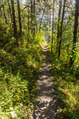Yunnan, Çin 'de Kaplan Sıçrayan Vadisi' nde yürüyüş yolu.