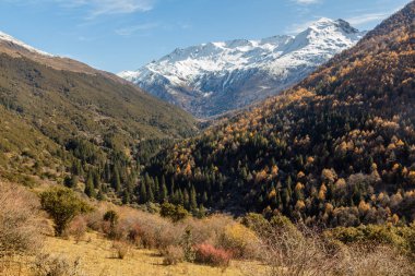 Siguniang Dağı yakınlarındaki Haizi Vadisi Sichuan, Çin