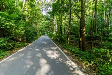 Çek Cumhuriyeti 'nin Moravian Karst bölgesindeki Pusty Zleb Vadisi' nde yol