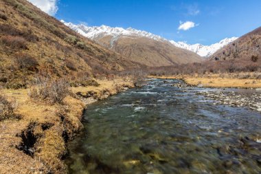 Siguniang Dağı yakınlarındaki Haizi Vadisi 'nde nehir Sichuan ili, Çin