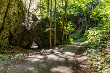 Çek Cumhuriyeti 'nin Macocha Abby' leri yakınlarındaki Pusty Zleb Vadisi