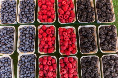 Viyana, Avusturya 'daki Naschmarkt pazarında satılık yabani meyveler