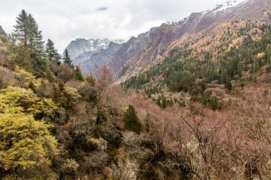 Siguniang dağı yakınlarındaki Changping Vadisi Sichuan, Çin