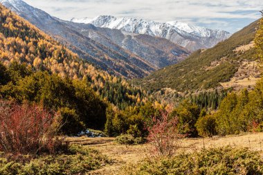 Siguniang Dağı yakınlarındaki Haizi Vadisi Sichuan, Çin