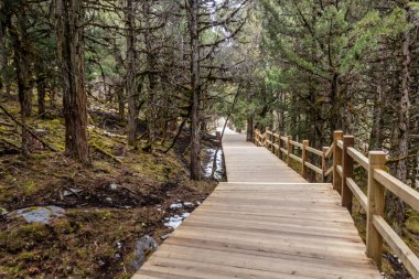 Sichuan 'ın Siguniang Dağı yakınlarındaki Changping Vadisi' nde sahil yolu, Çin