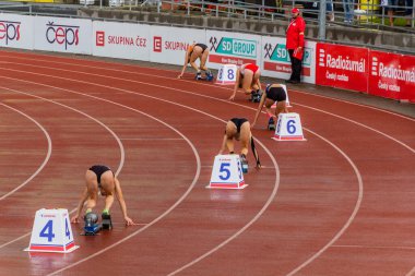 PLZEN, CZECHIA - 28 AĞUSTOS 2021: Çek Cumhuriyeti 'nin Plzen (Pilsen) kentindeki Atletizm Stadyumu' nda 22 yaş altı Çek Atletizm Şampiyonası koşucuları