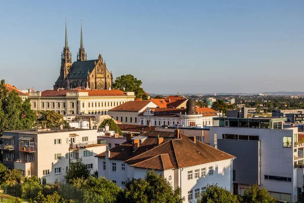 Panorama Města Brna Katedrálou Petra Pavla Česká Republika — Stock fotografie