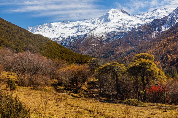 Siguniang Dağı yakınlarındaki Haizi Vadisi Sichuan, Çin