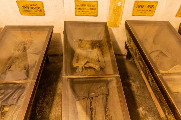 Brno Czechia Setembro 2021 Múmias Cripta Dos Capuchinhos Brno República — Fotografia de Stock
