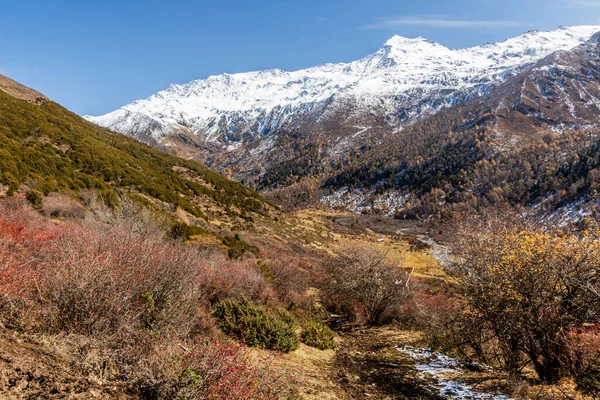 Haizi Údolí Poblíž Hory Siguniang Provincii Sichuan Čína — Stock fotografie
