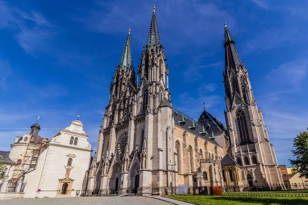 Собор Святого Вацлава Оломоуці Чехія — стокове фото