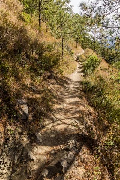 Sentier Randonnée Dans Les Gorges Tigre Province Yunnan Chine — Photo