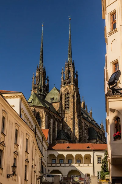 Kathedraal Van Peter Paul Brno Tsjechië — Stockfoto