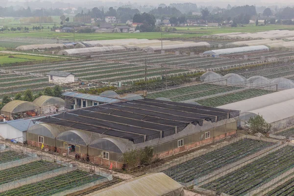 Växthusen Nära Chengdu Kina — Stockfoto