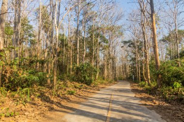 Chiang Rai yolu, Tayland.