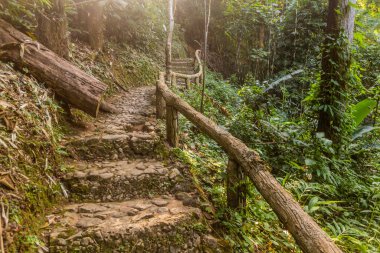 Chiang Rai, Tayland yakınlarındaki Huai Mae Sai şelalesine giden yol.